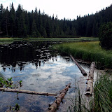 P8230923.jpg