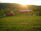The farmstead