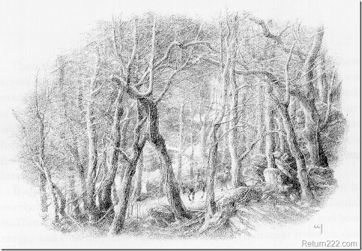 Alan Lee (71) Alan Lee (71)