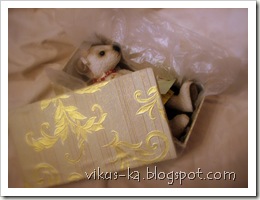 IMG_0034 IMG_0034