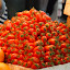 DSC_0495.JPG