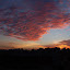 DSC_0190.JPG
