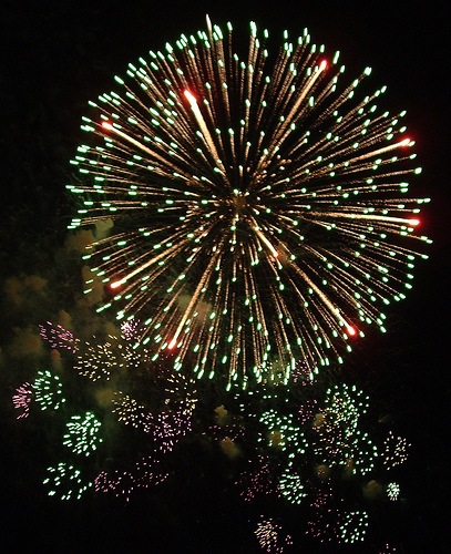 [New Years Eve fireworks (courtesy c r i s at flickr CC)[2].jpg]