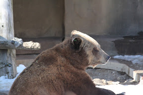  &ndash; 06-Mar-2010