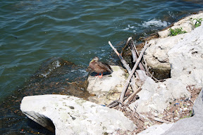  &ndash; 18-Aug-2008