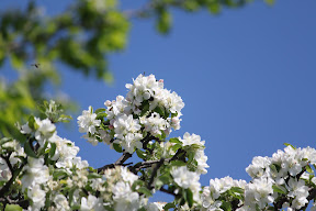  &ndash; 19-May-2009