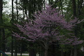  &ndash; 23-May-2009
