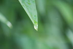  &ndash; 08-Jun-2009