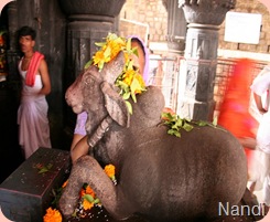 Nandhi at Bhima Shankar Temple
