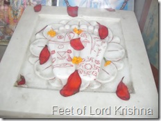 feet of lord Krishna
