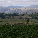 Avenue of the Volcanoes
