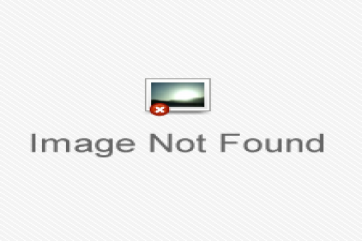 [510x340_imageNotFound[9].png]