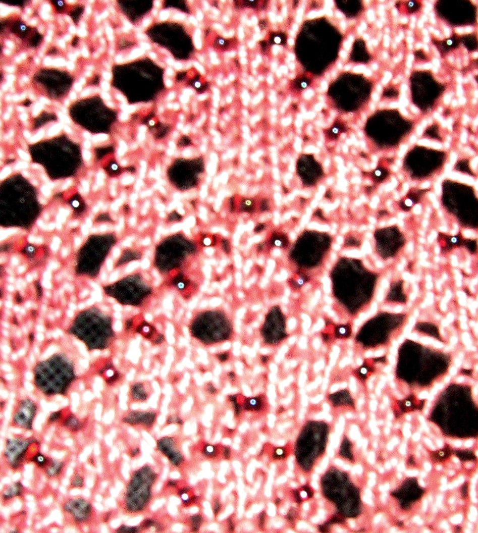 [rose+005.JPG]