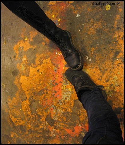 [IMG_4867[6].jpg]