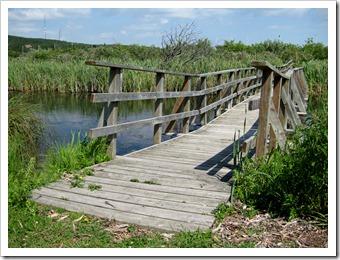 IMG_3443 IMG_3443