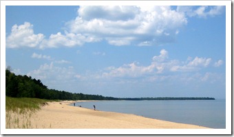 IMG_3795 IMG_3795