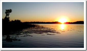 IMG_3588 IMG_3588