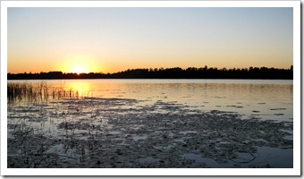 IMG_3603 IMG_3603