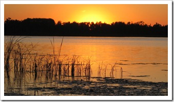 IMG_3606 IMG_3606