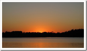 IMG_3617 IMG_3617