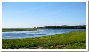 IMG_4711 IMG_4711