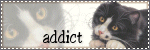 [image[15].png]