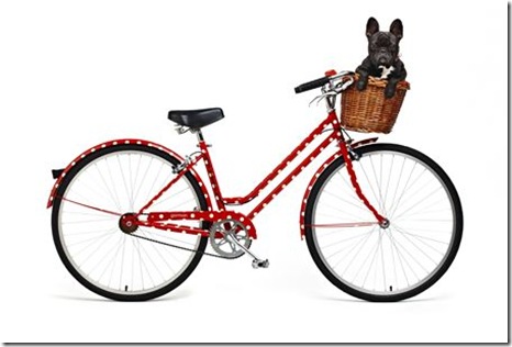 beachbunballow8-bike_007contentImage