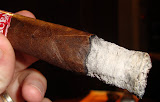 DSC07133.JPG