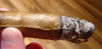 DSC02594.JPG