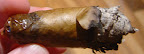DSC02596.JPG