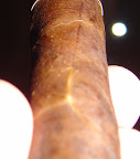 DSC04380.JPG