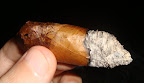 DSC06375.JPG
