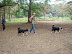 DSC06624.JPG