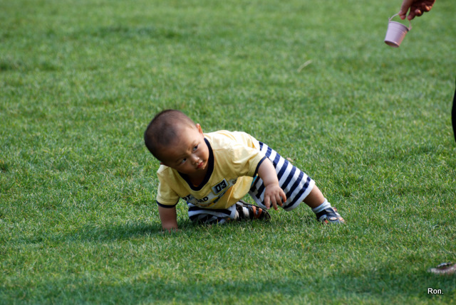 DSC_1109.JPG