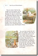 peter rabbit_10 peter rabbit_10