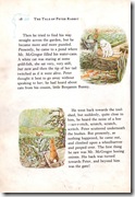 peter rabbit_10