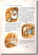 peter rabbit_12 peter rabbit_12