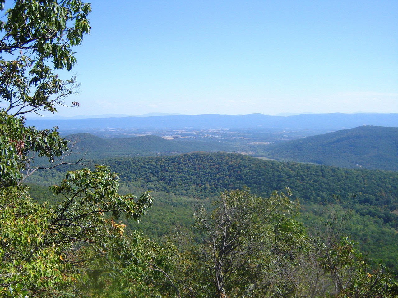 [DSC00629[4].jpg]