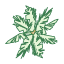 VegtPalm01 VegtPalm01