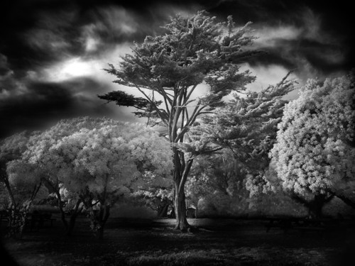 Beautiful Black and White Photography 
