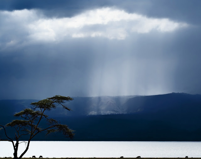 Spectacular Photography by Piet Flour