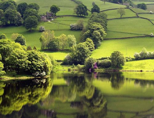 20
Beautiful Reflective Nature Photography