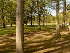 Disc Golf disc golf discs