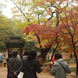 紅葉も始まってたよ。