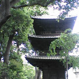 090504_1515~01.jpg
