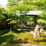 建仁寺のお庭はとても素敵でした。