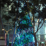 DSC02821.jpg