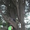 DSCN5307.JPG