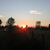 DSCN5317.JPG