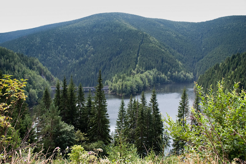 DSC_6769.jpg